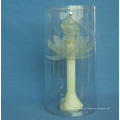 Clear Tube Packaging Plastic Cylinder Box (hecho en China)